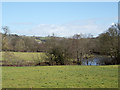 The River Taw at Little Dart Pool