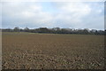 Large ploughed field