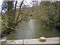 Looking up the Little Dart River from Chulmleigh Bridge