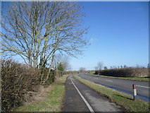 TL4946 : A1301 looking towards Cambridge by Marathon