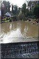 Lymm Village duck pond