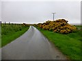 ND0755 : Minor Road Near Dorrery by Rude Health 