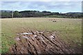 Farmland above Three Cocks