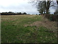 Farmland near New Cemetery