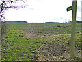 Delineated footpath near Parkgate Farm