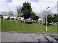 Trees on The Green, Radyr, Cardiff