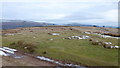 View east from Disgwylfa