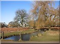 Waterway in Bushy Park