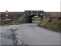 J0620 : Railway bridge at the junction of Lower Newtown Road and Low Road by Eric Jones