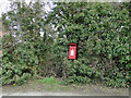 Almost secret postbox in a hedge