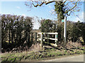 Footpath bridge over field ditch