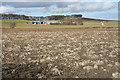 Fields below Boghead