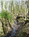 Bickerstaffe Brook in Ox Hey Plantation