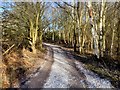 Bridleway Around Rossmere