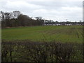 Crop field near Holmes Farm