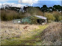 SJ8180 : Old Farm Building, Saltersley Moss by David Dixon