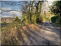 Track towards Newgate Farm