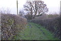 Track, Lyne Farm