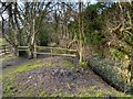 Path off Battery Lane