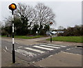 Zebra crossing opposite Danescourt Primary School, Cardiff