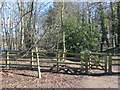 Kissing gate on the path on the south bank of the River Tyne