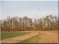 Farm track, Haverholme Estate