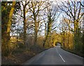 Minor road south of Walliswood