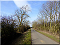 Country lane near Redworth Wood