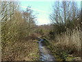 Footpath on the edge of Parr Moss