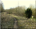 Footpath on the edge of Parr Moss, near the recreation ground