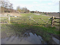 A section of the Jack Foat Trust Country Park