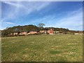 Keele: houses on Quarry Bank Road