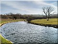 Leeds and Liverpool Canal near Burnley Bridge Business park