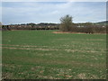 Farmland off Station Lane