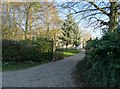 Entrance to Porritts Farm, Langton by Wragby