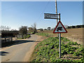 Be aware of toads crossing the road