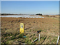 Fire hydrant and covered crop