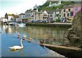 Polperro Harbour