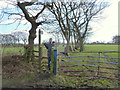 Stile on footpath from Town Lane to Wood Lane, Heskin