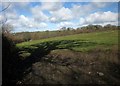 Field above Beneathwood