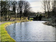 SD8332 : Leeds and Liverpool Canal by David Dixon