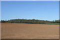 Farmland near Bredicot Rough