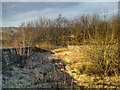 Deck of Disused Bridge