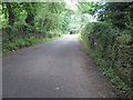 Road to Mynydd Eglwysilan