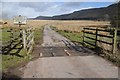 Cattle grid on Rhos Fach