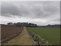 The footpath to the camping barn