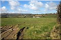 Field near Patrieda Barn