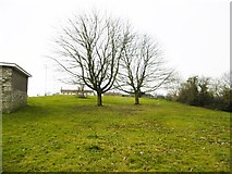 ST6083 : Almondsbury, open space by Mike Faherty