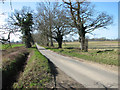 View along Green Lane