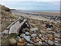 Sandy Bay beach near North Seaton